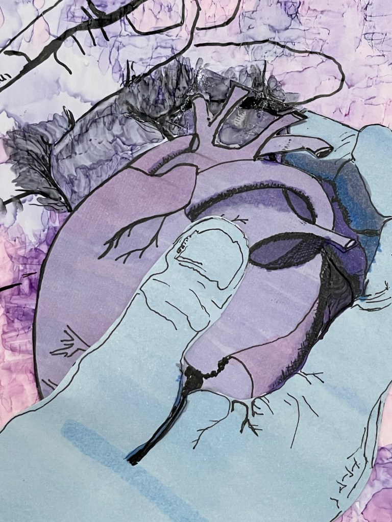 Two drawn hands clasping an anatomical heart between, on a purple pick background.
